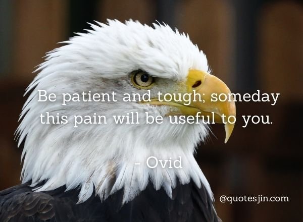 Strength Quotes