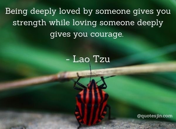 Strength Quotes