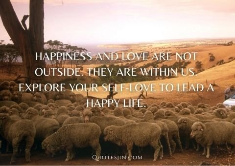 Self Love Quotes