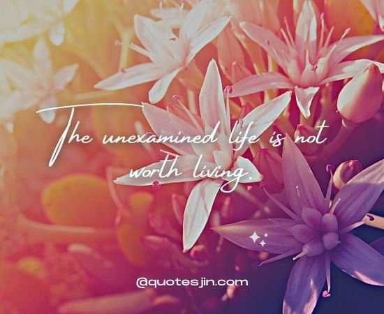 happy quotes