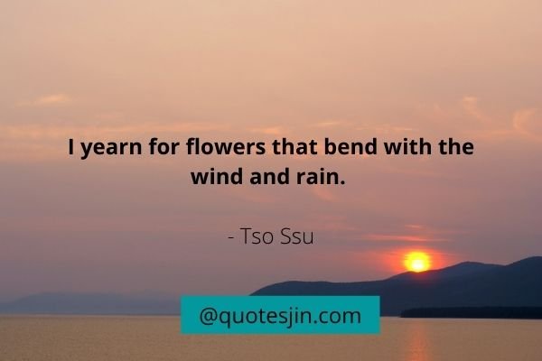 Rain Quotes
