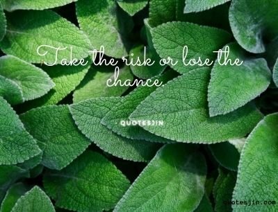 short quotes - simple quotes