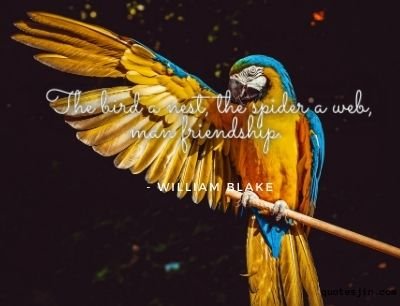 short quotes - simple quotes