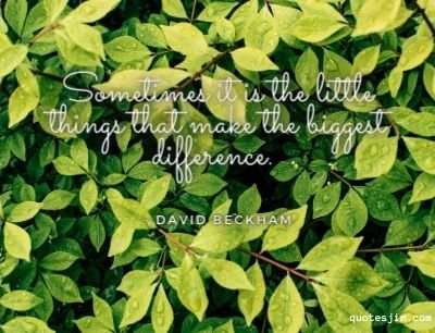 short quotes - simple quotes
