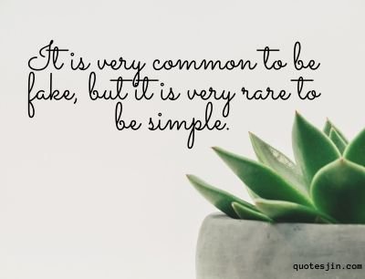 short quotes & simple quotes