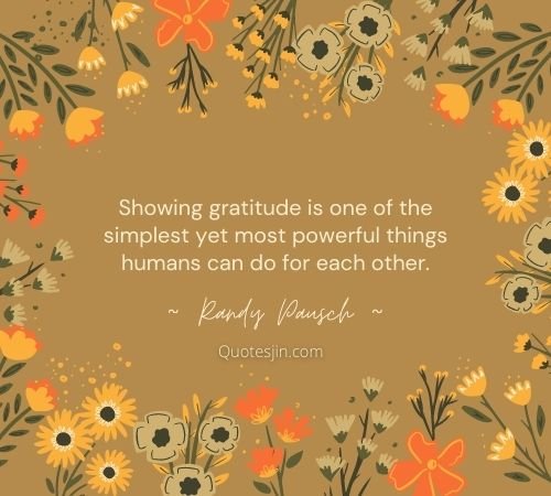 gratitude quotes