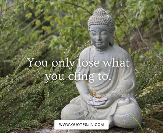 Buddha Quotes