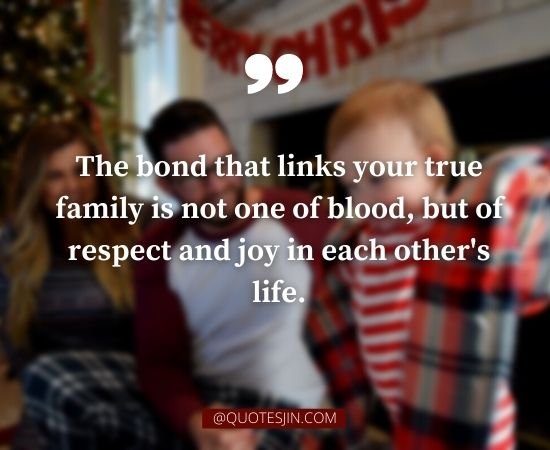 Family Quotes