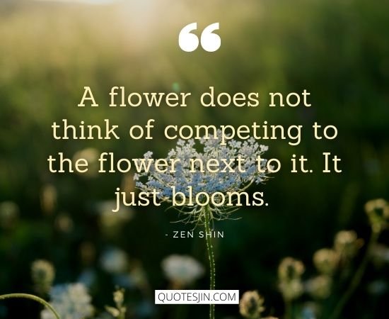 Confidence Quotes