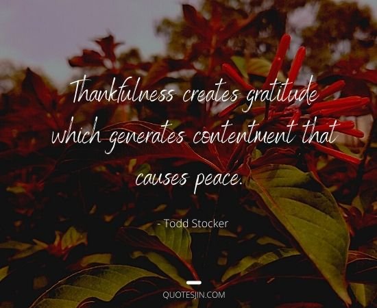 thank you quotes