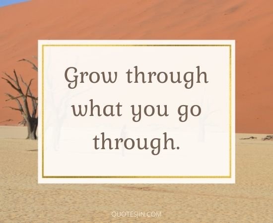 Happiness Quotes