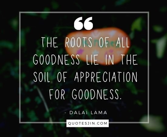 kindness quotes
