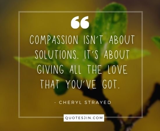 kindness quotes