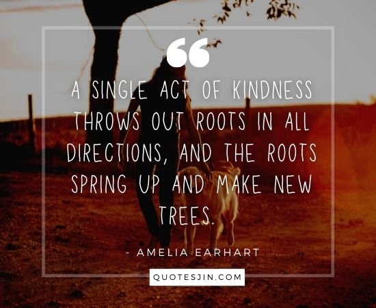 kindness quotes