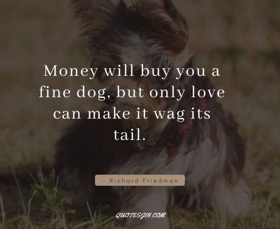 Money Quotes