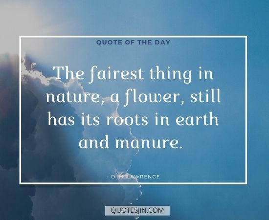 Quote of the Day