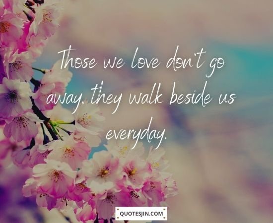 Sympathy Quotes