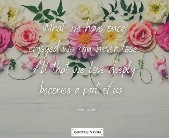 Sympathy Quotes