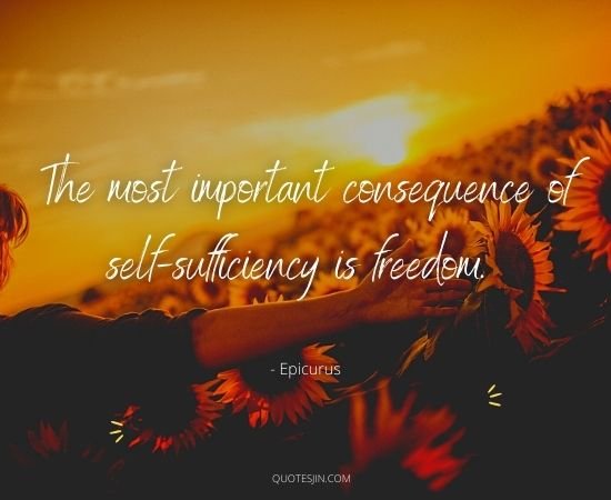 Freedom Quotes