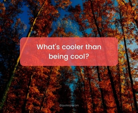Cool Quotes