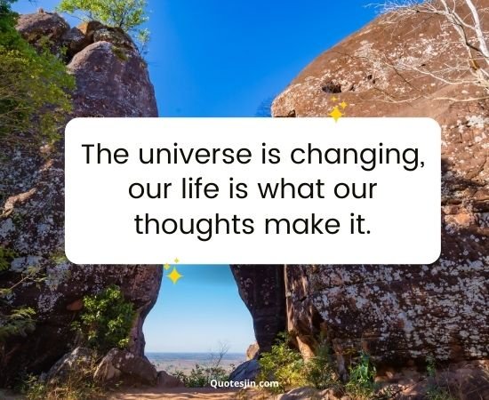 Law Of Attraction Quotes