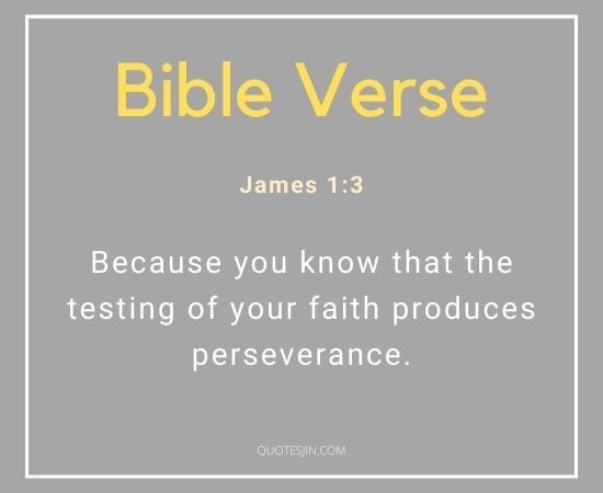 Bible Verses About Faith