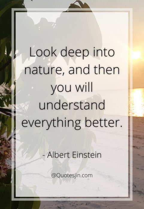 nature quotes