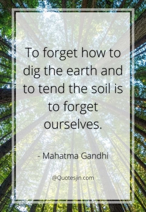 nature quotes