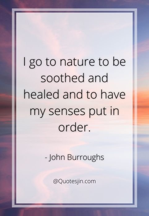 nature quotes