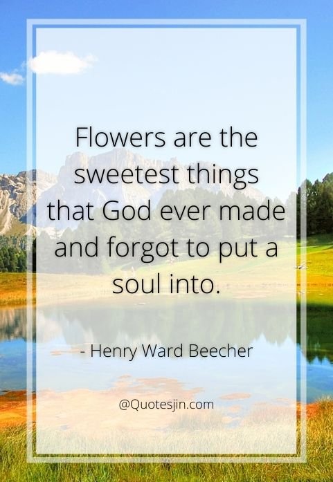 nature quotes