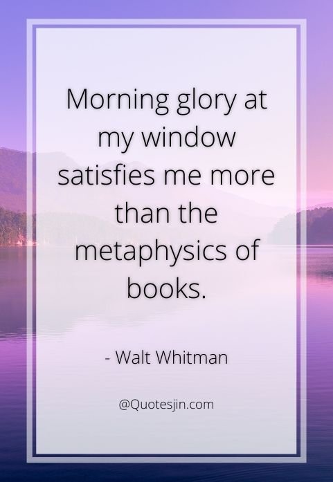 nature quotes