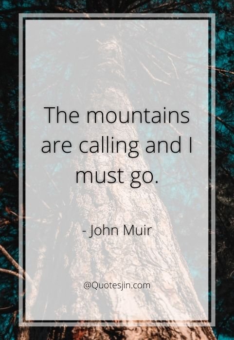nature quotes