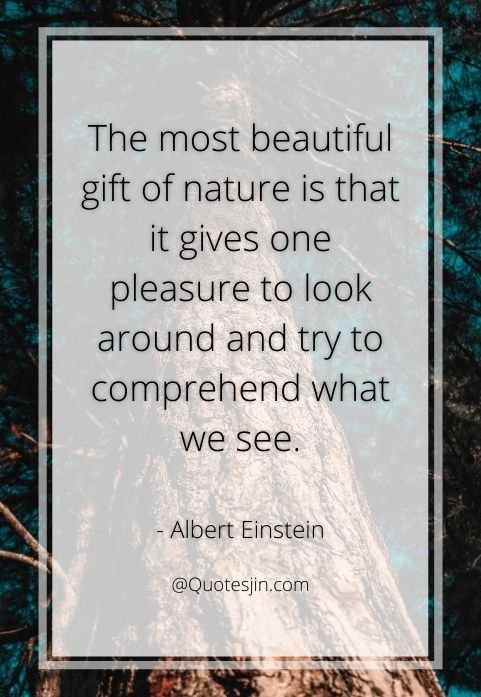 nature quotes