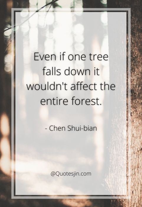 nature quotes