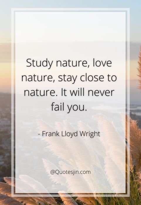 nature quotes