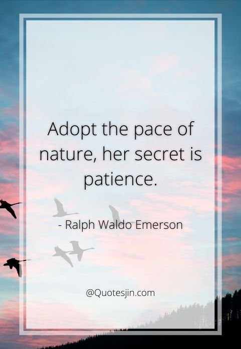 nature quotes