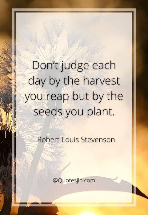 nature quotes