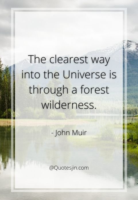 nature quotes