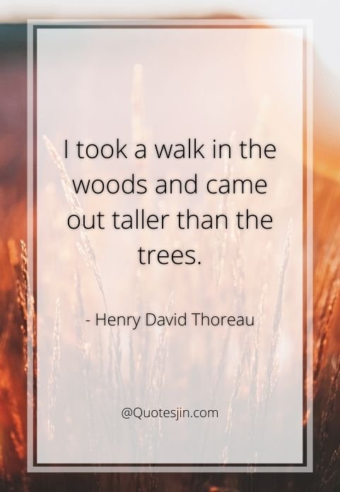 nature quotes
