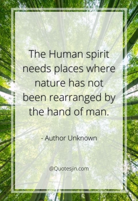 nature quotes