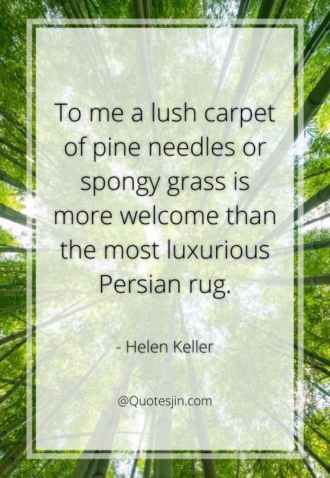 nature quotes