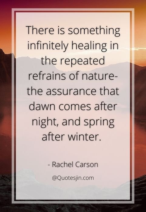 nature quotes