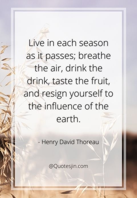 nature quotes