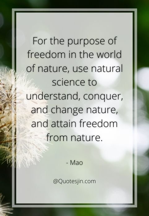 nature quotes