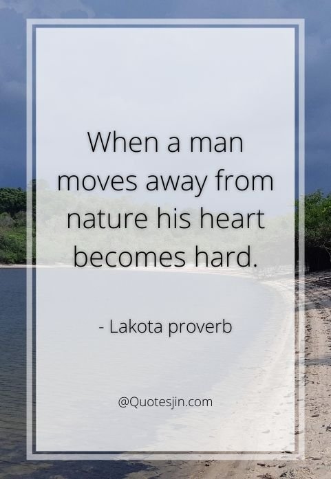 nature quotes