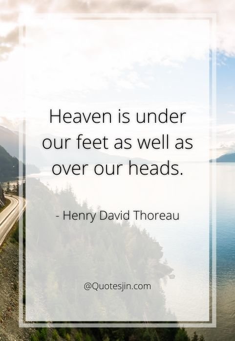 nature quotes