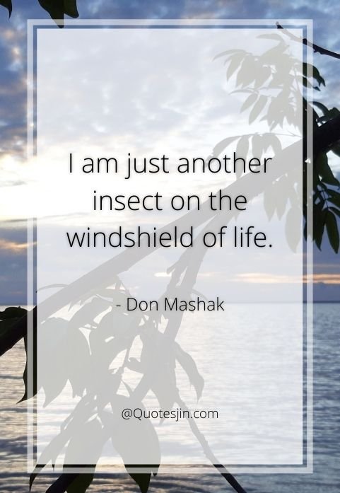 nature quotes