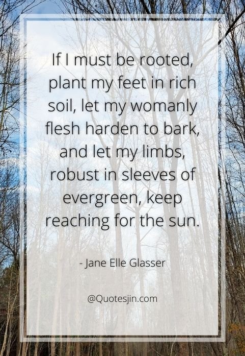 nature quotes