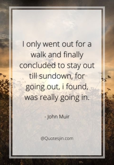 nature quotes
