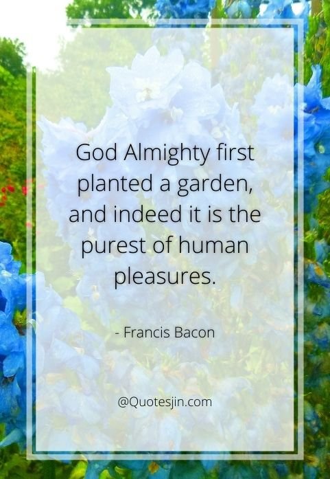 nature quotes